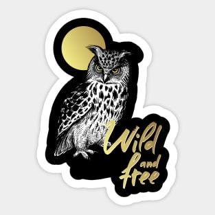 owl 1 Sticker